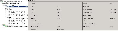 Lsi.jpg